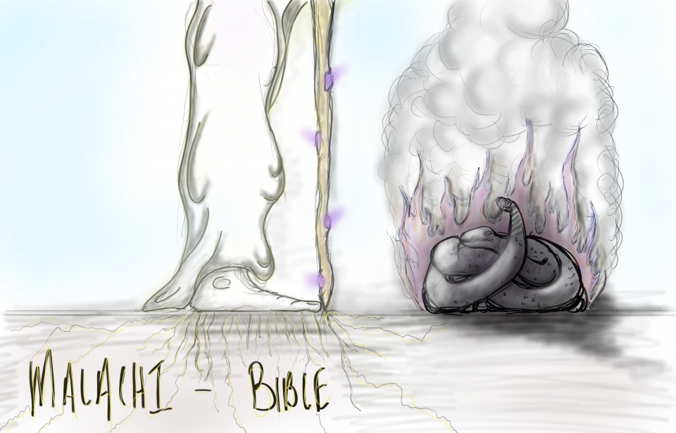 The Stories of the Bible