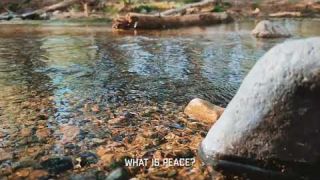 Sounds of thing that calm. Movement in the water. The clarity of the water.