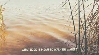 Walking the way of life. Sounds of nature. Birds chirping.