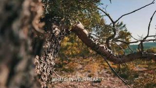 The underside. Inside under the bark. The power of growth.