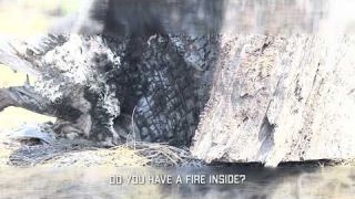 Burnt wood on the internal. A fire that was set before. We live on the inside