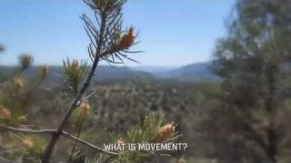 Movement of the wind. The strength behind the earth changer.