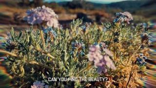 The way we look at the earth. From dusk to dawn. Spending the time needed.