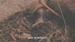 Life in the slow. Time and the worth of it. Yours spent.